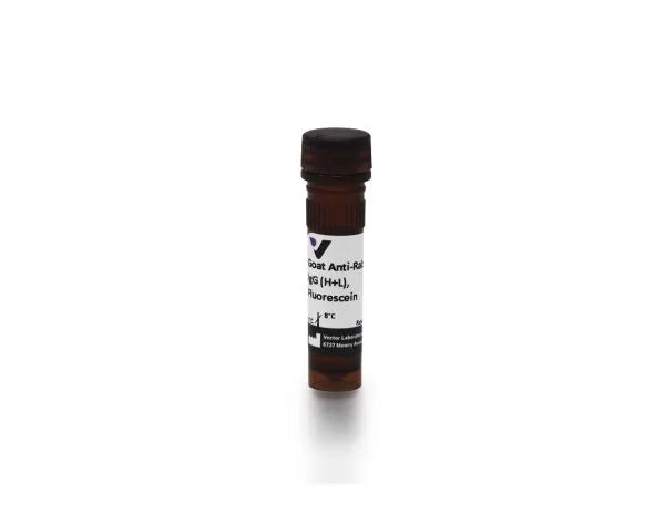 Anti-Rabbit IgG (H+L), made in goat, Fluorescein labeled, 1.5mg