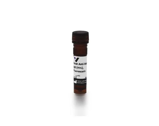 Anti-Rabbit IgG (H+L), made in goat, Fluorescein labeled, 1.5mg