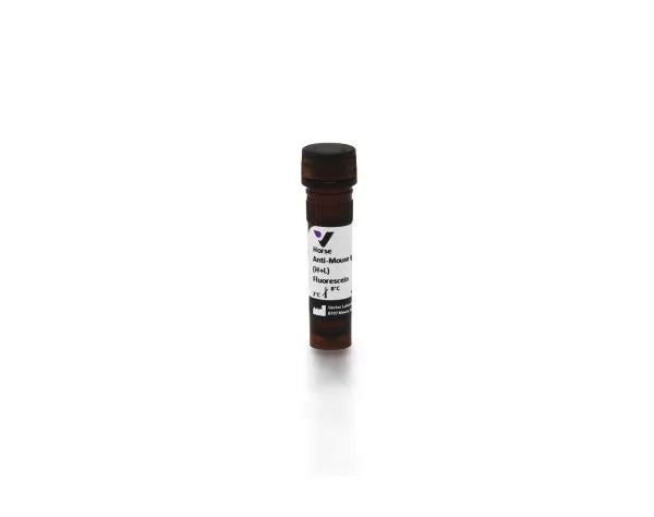 Anti-Mouse IgG (H+L), made in horse, Fluorescein labeled, 1.5mg