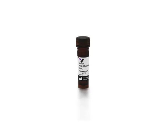 Anti-Mouse IgG (H+L), made in horse, Fluorescein labeled, 1.5mg