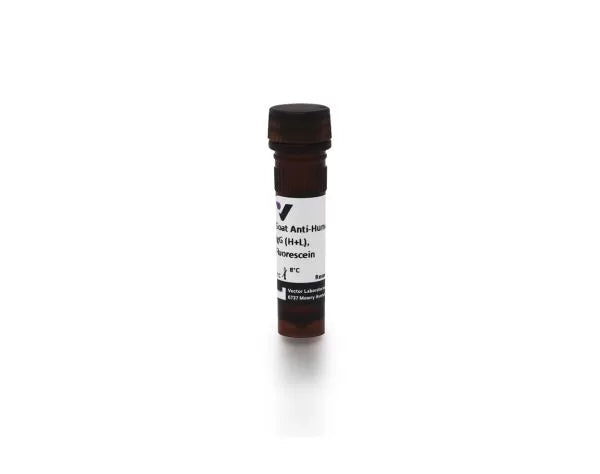 Anti-Human IgG (H+L), made in goat, Fluorescein labeled, 1.5mg