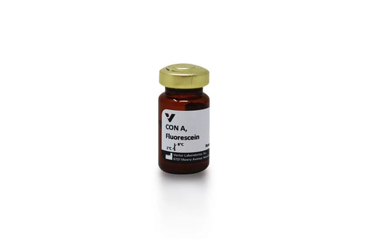 Concanavalin A (Con A), Fluorescein labeled
