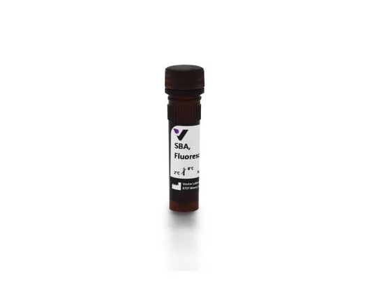 Soybean agglutinin (SBA), Fluorescein labeled