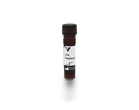 Lens culinaris agglutinin (LCA, LcH), Fluorescein labeled