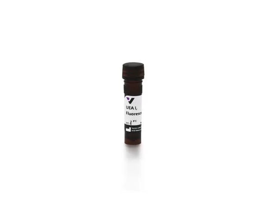 Ulex europaeus agglutinin I (UEA I), Fluorescein labeled, 5 mg