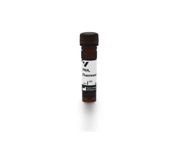 Pna Files Peanut agglutinin (PNA), Fluorescein labeled – Chromatographic ...