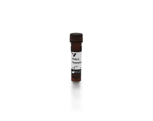 Phaseolus vulgaris Erythroagglutinin (PHA-E), Fluorescein labeled