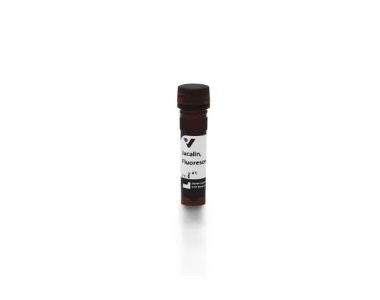 Jacalin, Fluorescein labeled