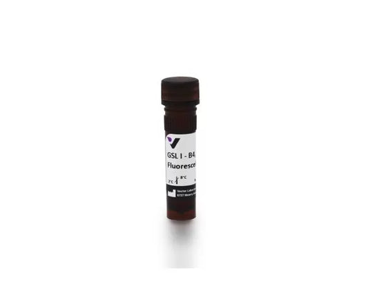 Griffonia Simplicifolia Lectin I (GSL I) isolectin B4, Fluorescein