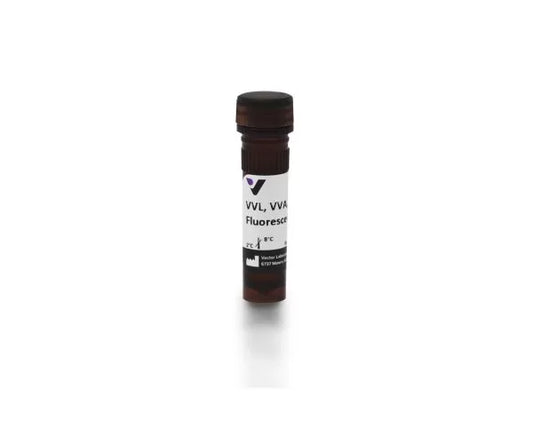 Vicia villosa lectin (VVL, VVA), Fluorescein labeled
