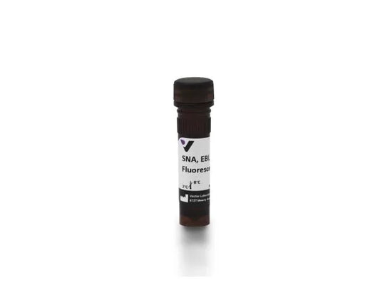 Sambucus nigra lectin (SNA, EBL), Fluorescein labeled