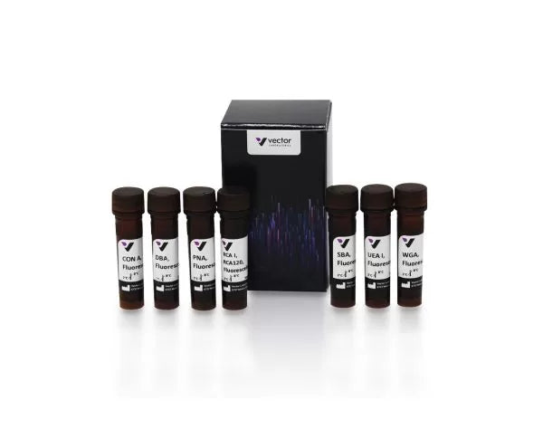 Fluorescein Lectin Kit I
