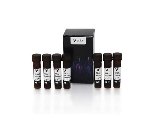 Fluorescein Lectin Kit I
