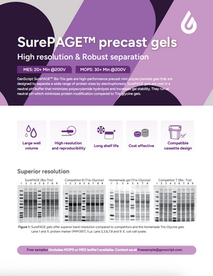 SurePAGE precast gels