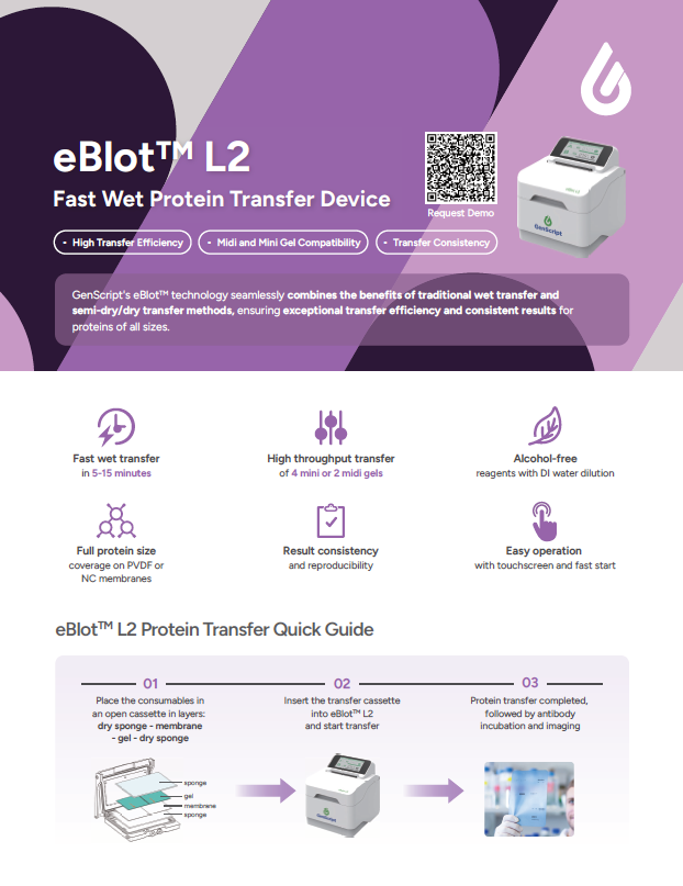 eBlot L2 - Fast Wet Protein Transfer Device