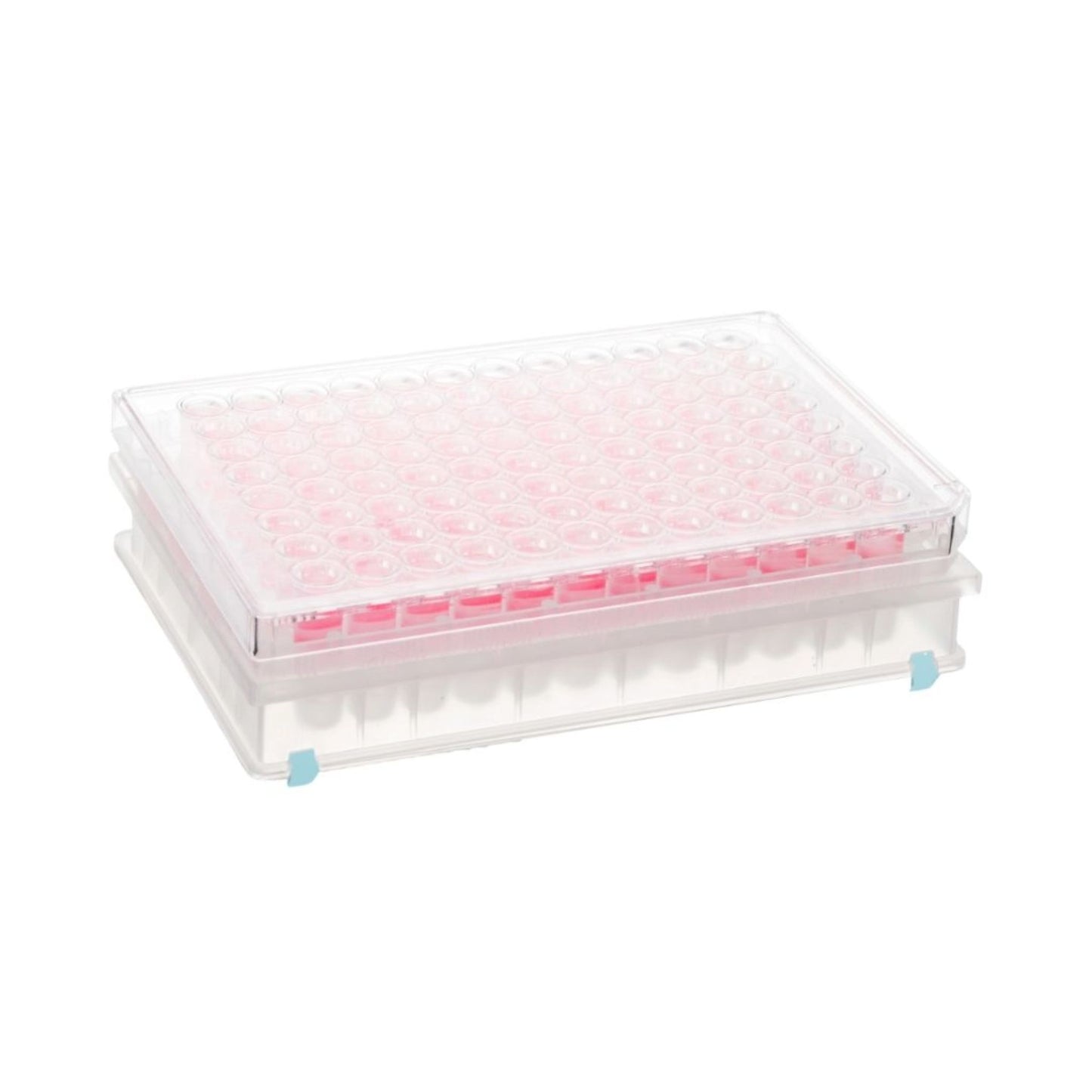 Integrated 96-well Micro Filter Plates, 600 μL, Hydrophilic PTFE, 0.22 μm, 10/pk