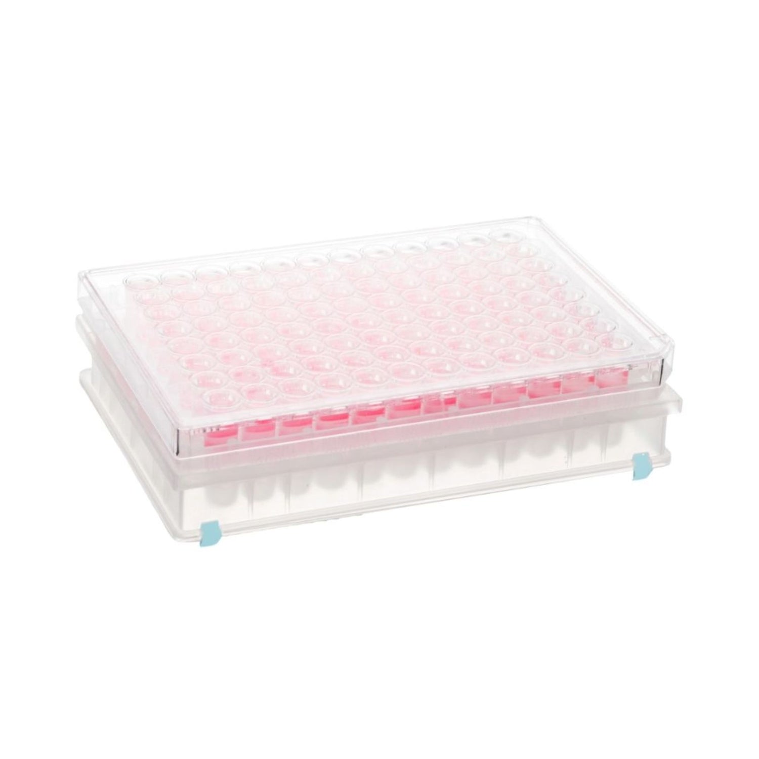 Image of GVMIFPBY96TH022A - Integrated 96-well Micro Filter Plates, 600 μL, Hydrophilic PTFE, 0.22 μm