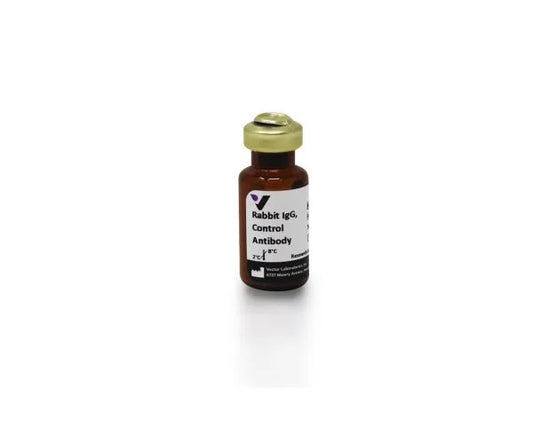 Control Antibodies, Rabbit IgG