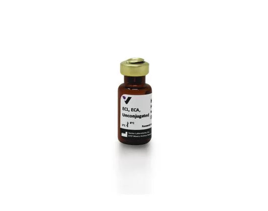 Erythrina cristagalli lectin (ECL, ECA), Unconjugated