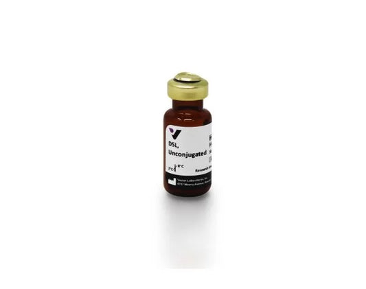 Datura stramonium lectin (DSL), Unconjugated