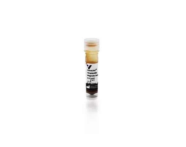 NanoLINK® Streptavidin Magnetic Beads (1.0 µm), 10 mL