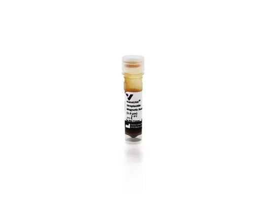 NanoLINK® Streptavidin Magnetic Beads (1.0 µm), 2 mL