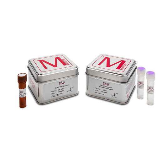 **VirusGEN® AAV Transfection Kit with RevIT™ AAV Enhancer, for 1 L of Culture