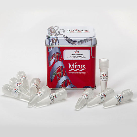 *TransIT®-mRNA Transfection Kit, 10 x 1 mL