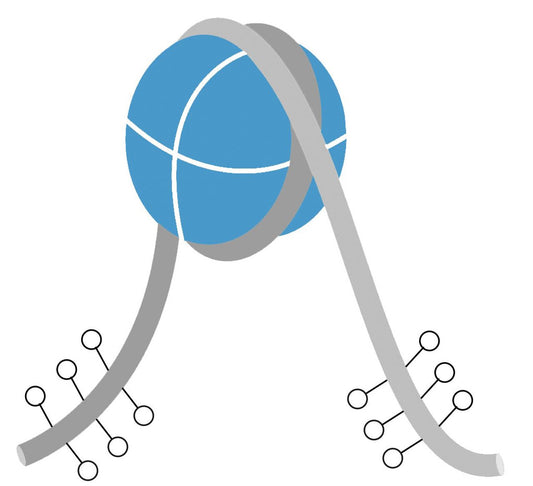 **Mononucleosomes, Recombinant, 199x601 DNA, Biotinylated