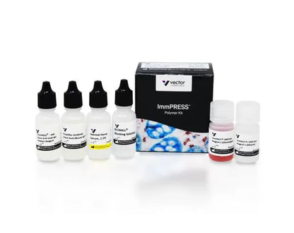 ImmPRESS Excel Staining Kit, Anti-Mouse IgG, Peroxidase, 50 mL