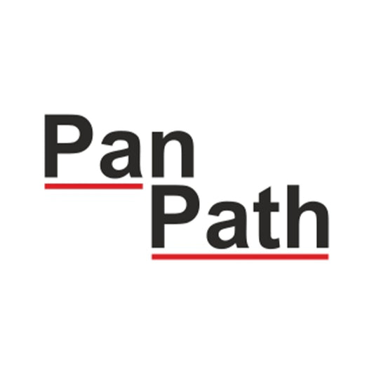 ***REMBRANDT® 3pter imbalance ISH Detection Assay, 5 Assays