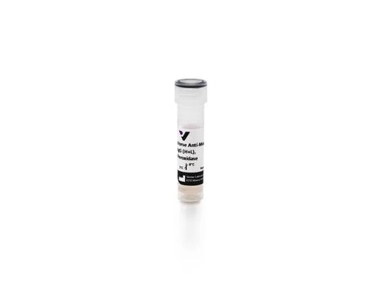 Anti-Mouse IgG (H+L), made in horse, Peroxidase labeled