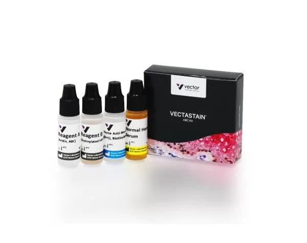 VECTASTAIN ABC-Peroxidase Kit, Mouse IgG
