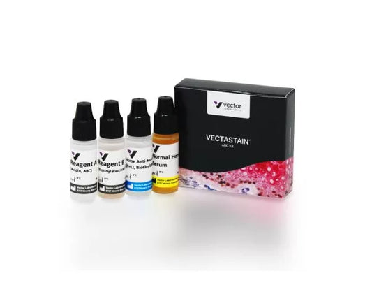 VECTASTAIN ABC-Peroxidase Kit, Mouse IgG