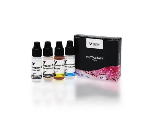 VECTASTAIN ABC-Peroxidase Kit, Goat IgG