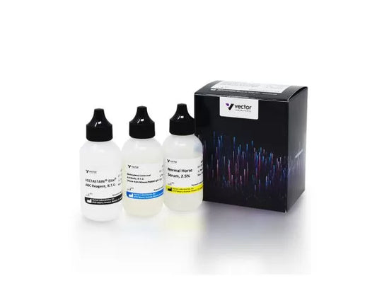 VECTASTAIN Elite ABC-Peroxidase Kit, R.T.U. Universal