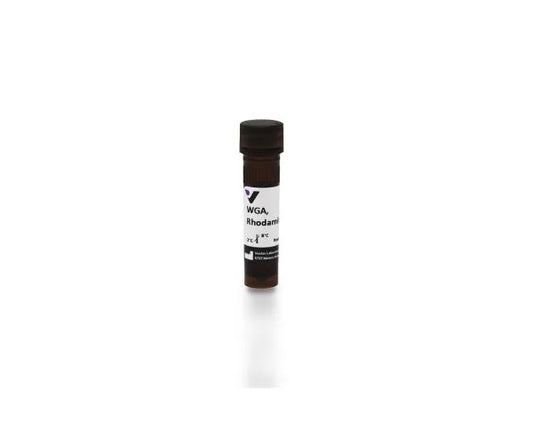 Wheat germ agglutinin (WGA), Rhodamine labeled, 5 mg