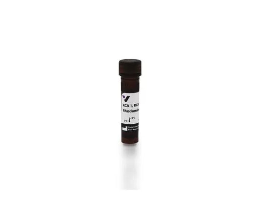 Ricinus Communis Agglutinin I (RCA I, RCA120), Rhodamine, 1 mg