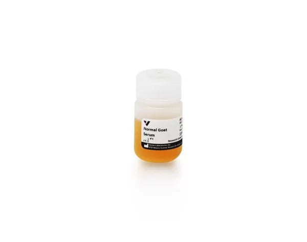 Image of VECTS1000 - Normal Goat Serum Blocking Solution, 20 mL