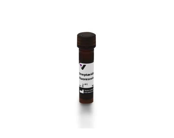 Image of VECTSA5001 - Fluorescein Streptavidin