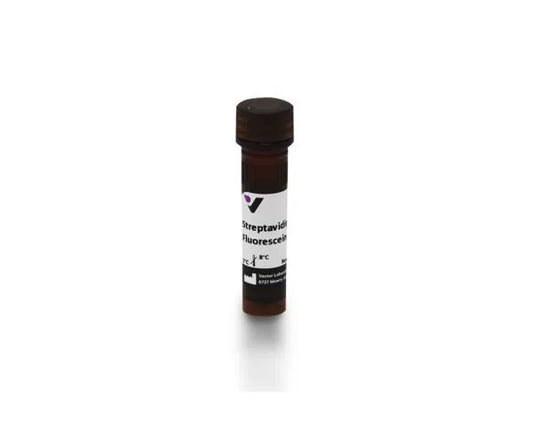 Fluorescein Streptavidin