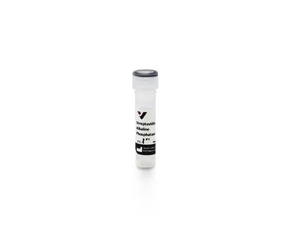 Alkaline Phosphatase Streptavidin
