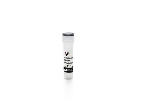 Alkaline Phosphatase Streptavidin