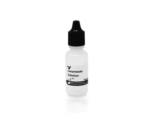 Levamisole Solution, (Alkaline Phosphatase Inhibitor)