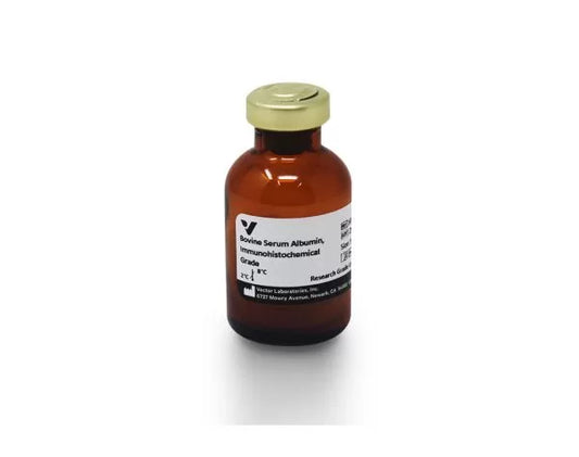 Bovine Serum Albumin (BSA)