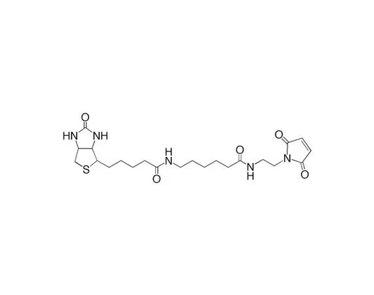 ***Biotin Maleimide