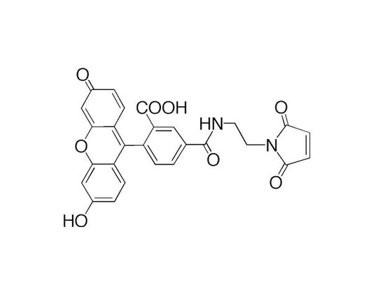 IsoTaG Biotin Alkyne Pack