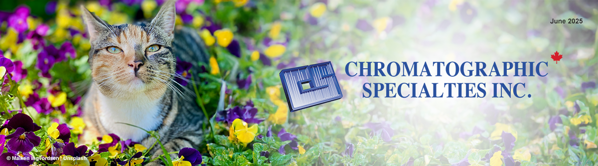 CSI e-Chronicle Banner June 2025 with cat in violets
